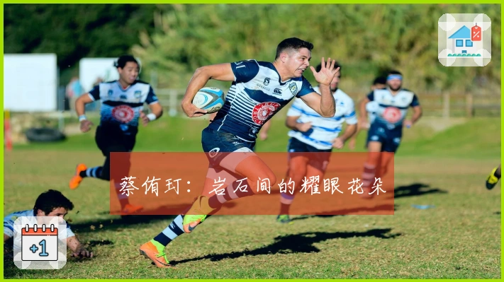 蔡侑玎：岩石间的耀眼花朵