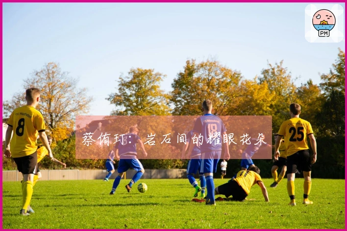 蔡侑玎：岩石间的耀眼花朵